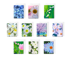 Assorted Floral Note Cards
