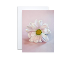 Pink Daisy Note Cards
