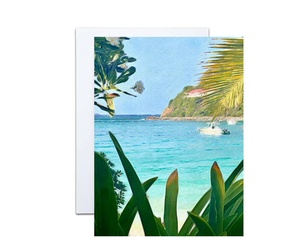 Assorted Note Cards from St. Barts