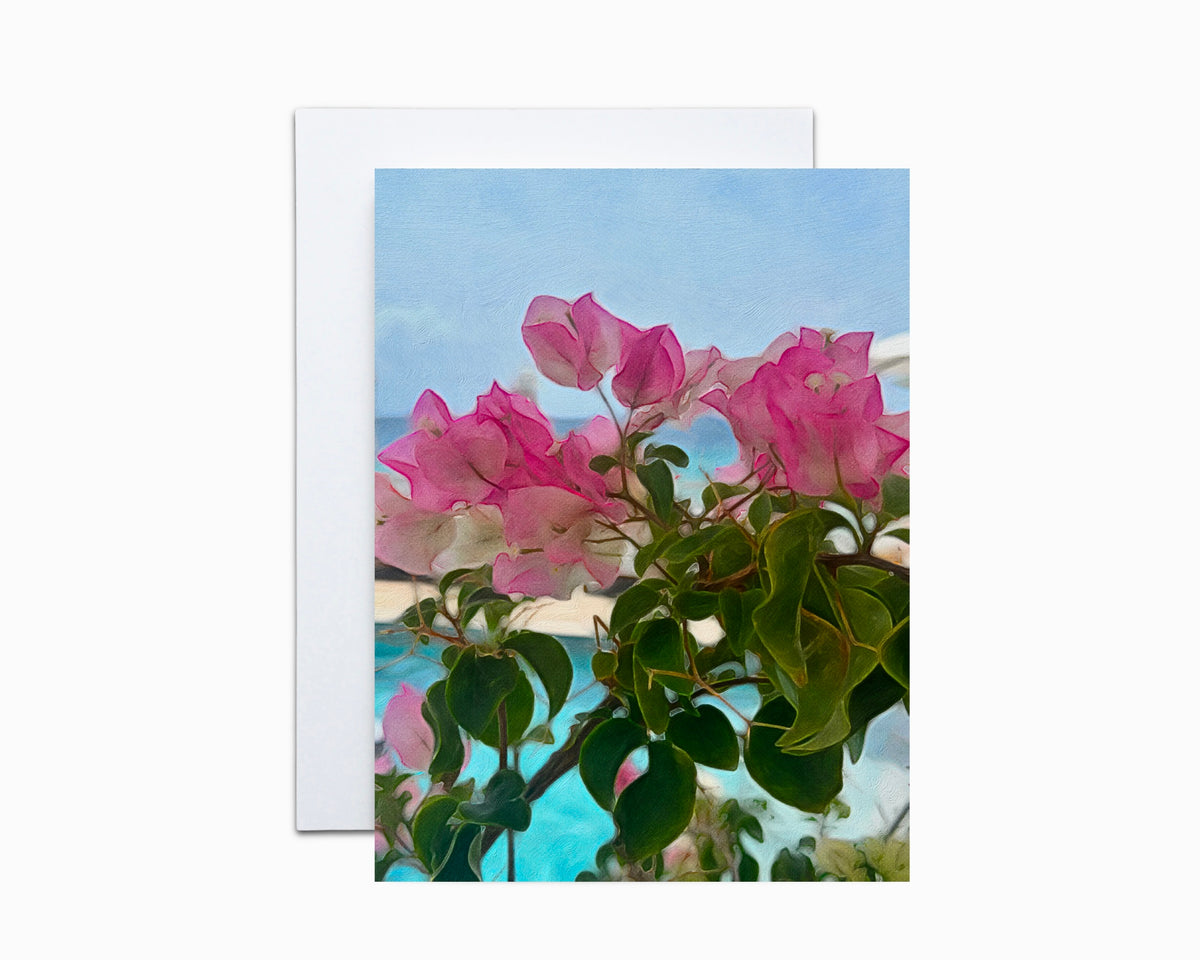 Bougainvillea Note Cards