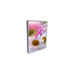 Bouquet of Pink Daisies Note Cards