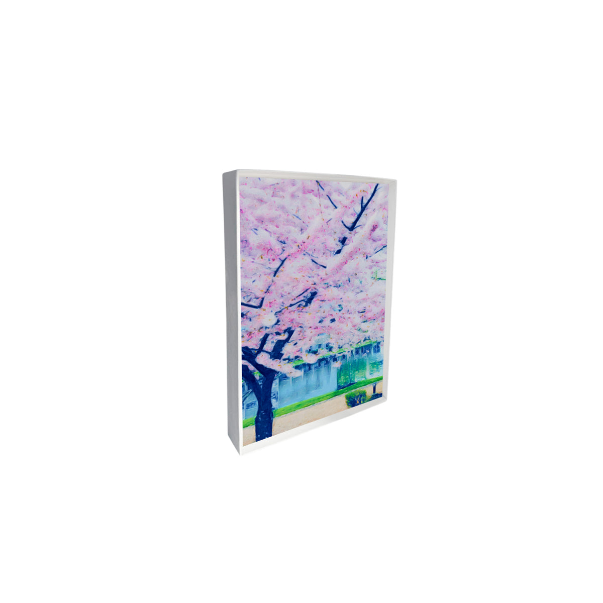 Assorted Floral Note Cards