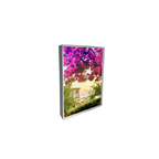 Assorted Amalfi Coast Note Cards