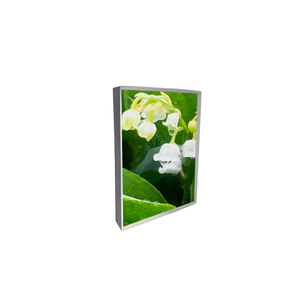 Spring Showers Lily of the Valley Note Cards