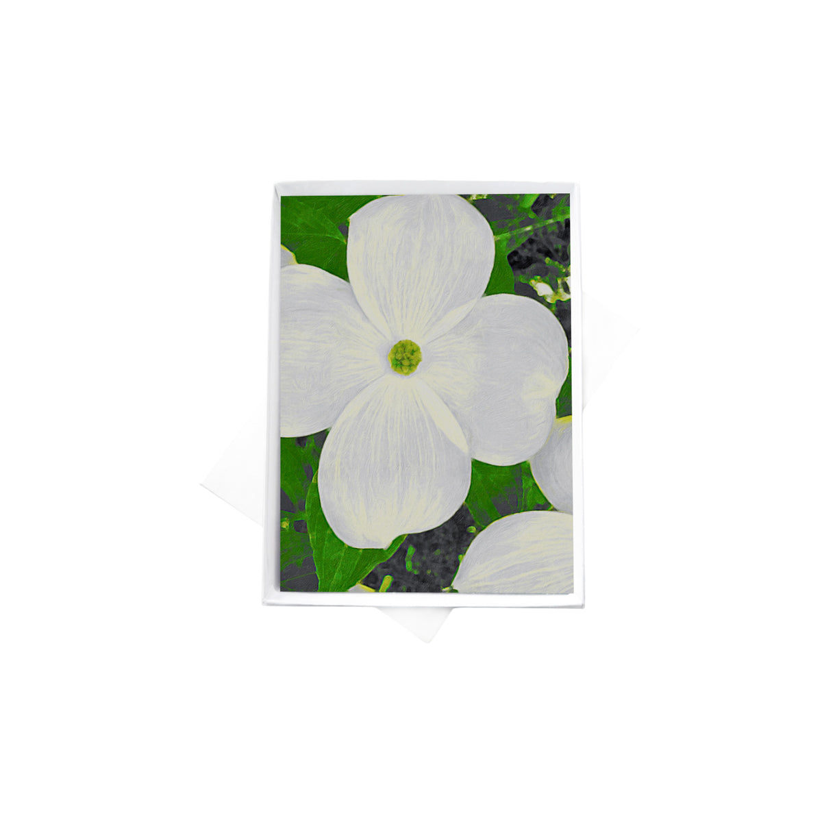 Single Dogwood Note Cards