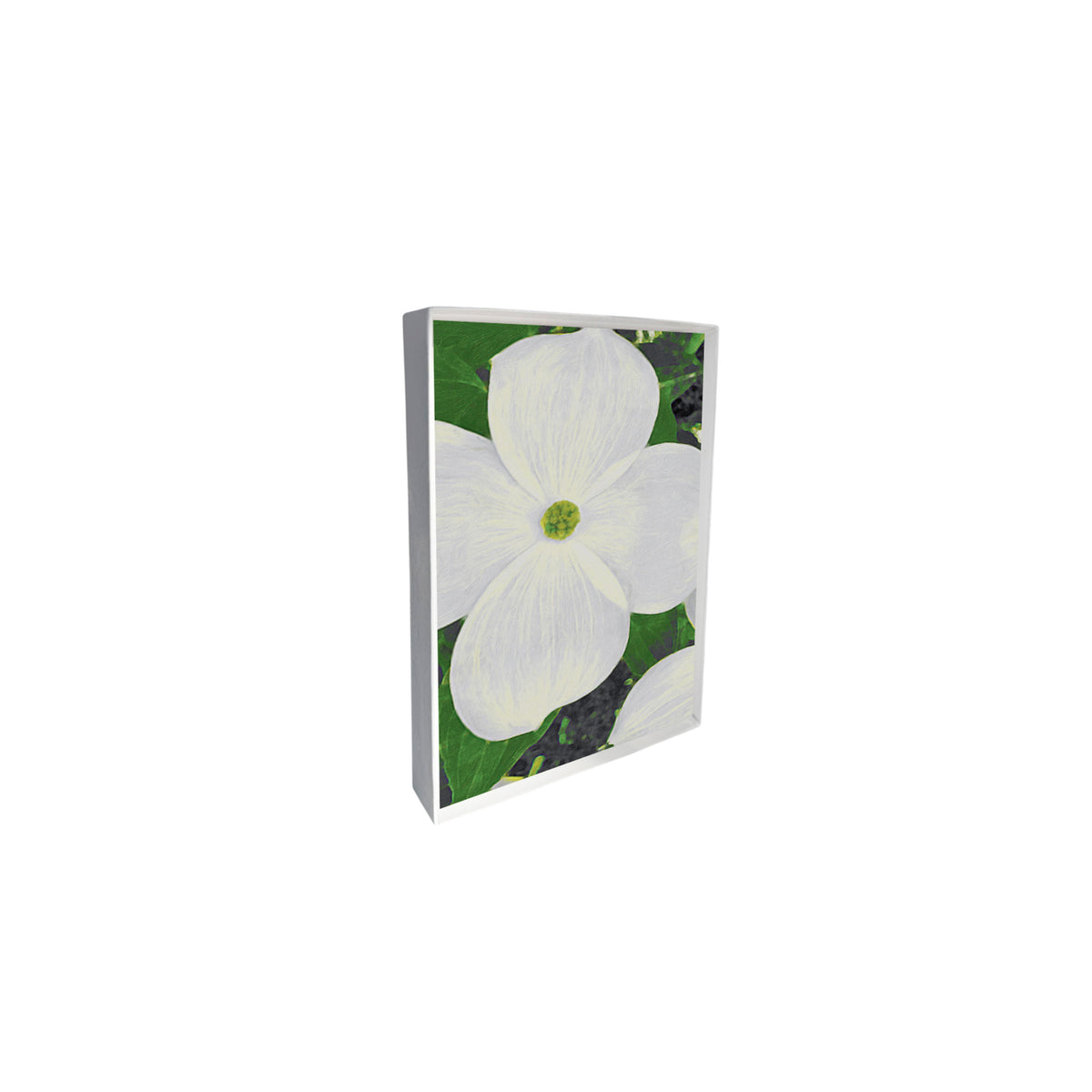 Single Dogwood Note Cards
