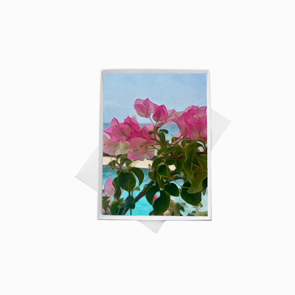 Bougainvillea Note Cards