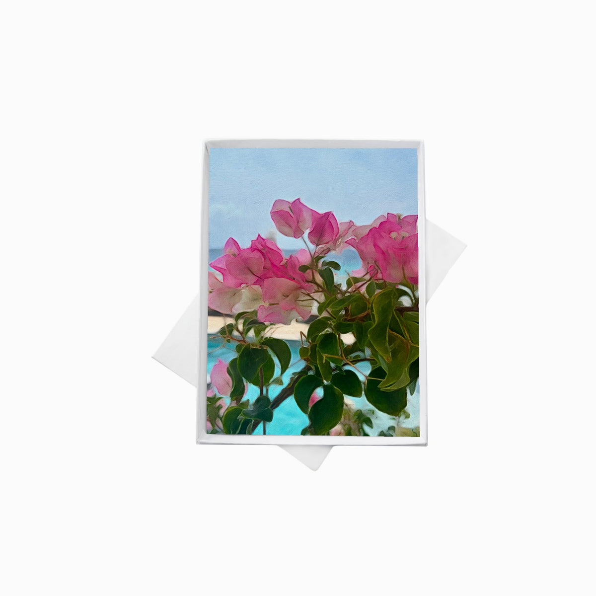 Bougainvillea Note Cards
