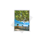 Italian Veranda Note Cards