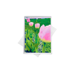 Assorted Floral Note Cards