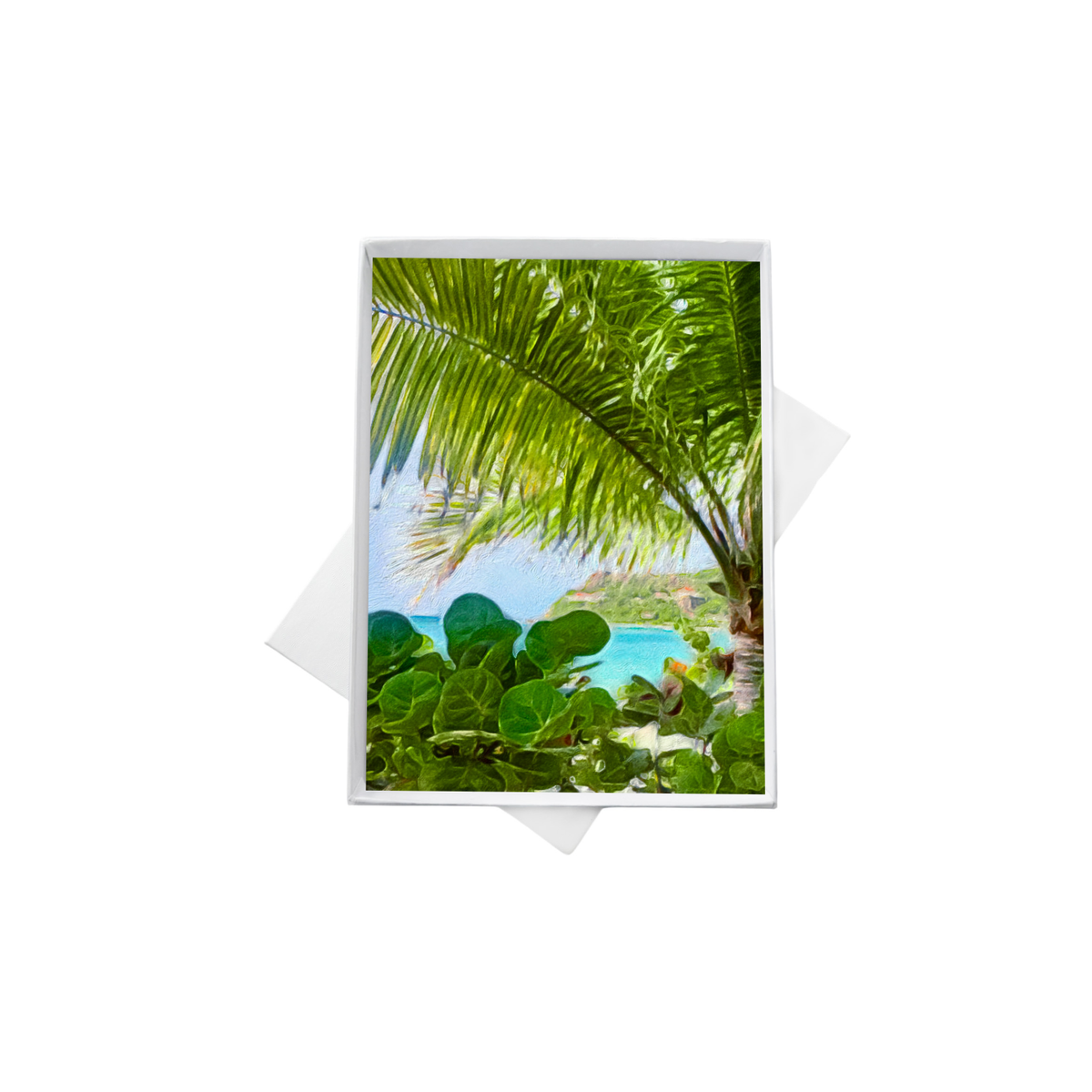 Assorted Note Cards from St. Barts