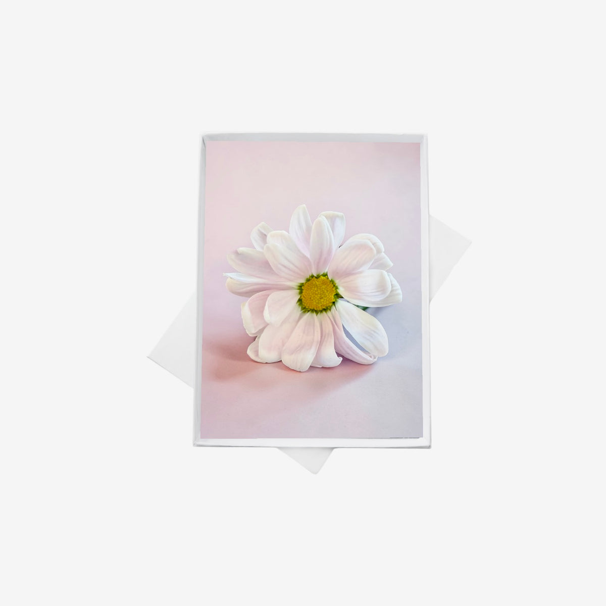 Pink Daisy Note Cards