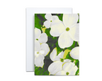 Assorted Floral Note Cards