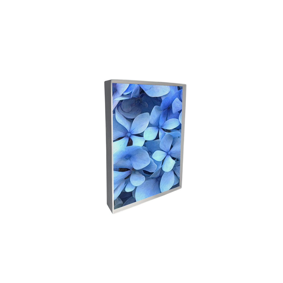 Blue Hydrangea Note Cards