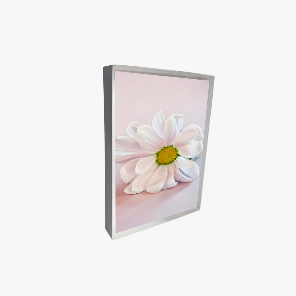 Pink Daisy Note Cards
