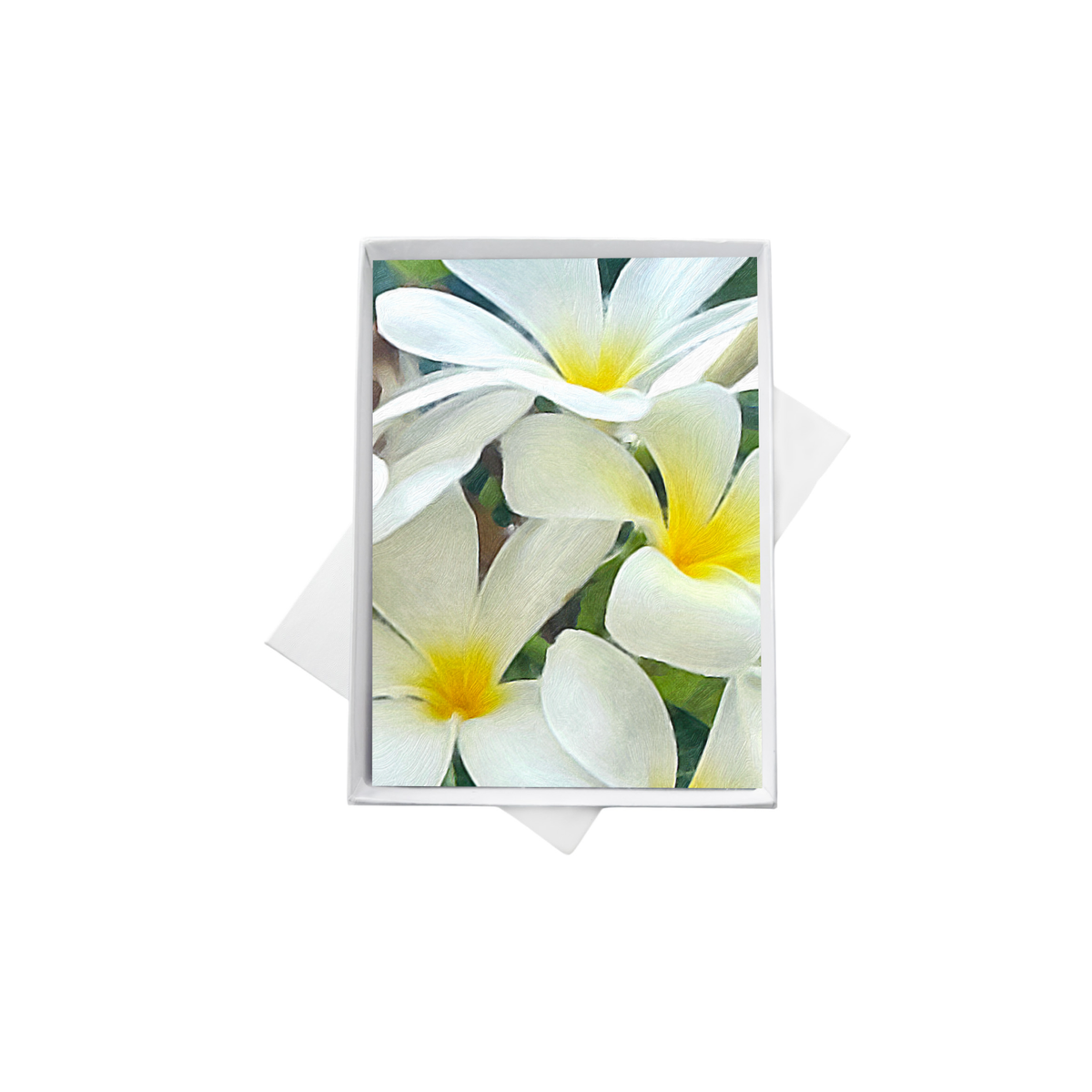 Tropical Plumeria Floral Note Cards