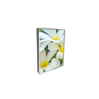Assorted Floral Note Cards