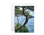 Assorted Nautical Note Cards