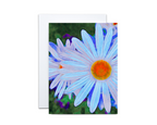 Assorted Floral Note Cards