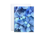 Assorted Floral Note Cards